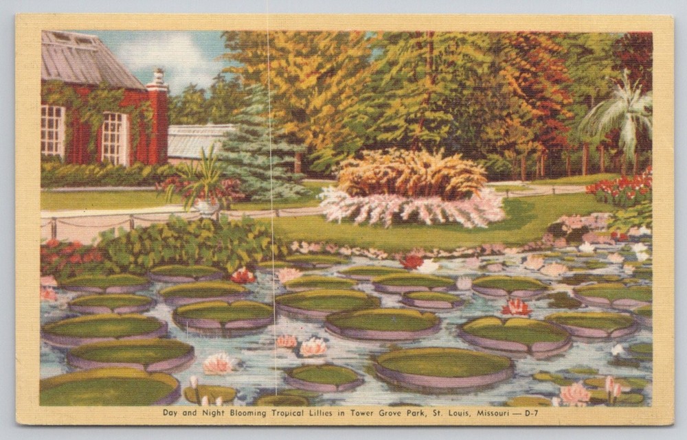 Vintage Tower Grove Park St. Louis MO Tropical Lilies Postcard Dexter Press