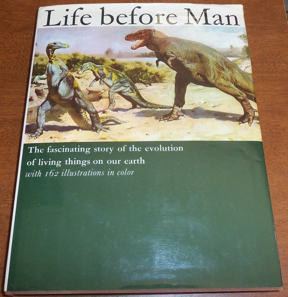 Life Before Man