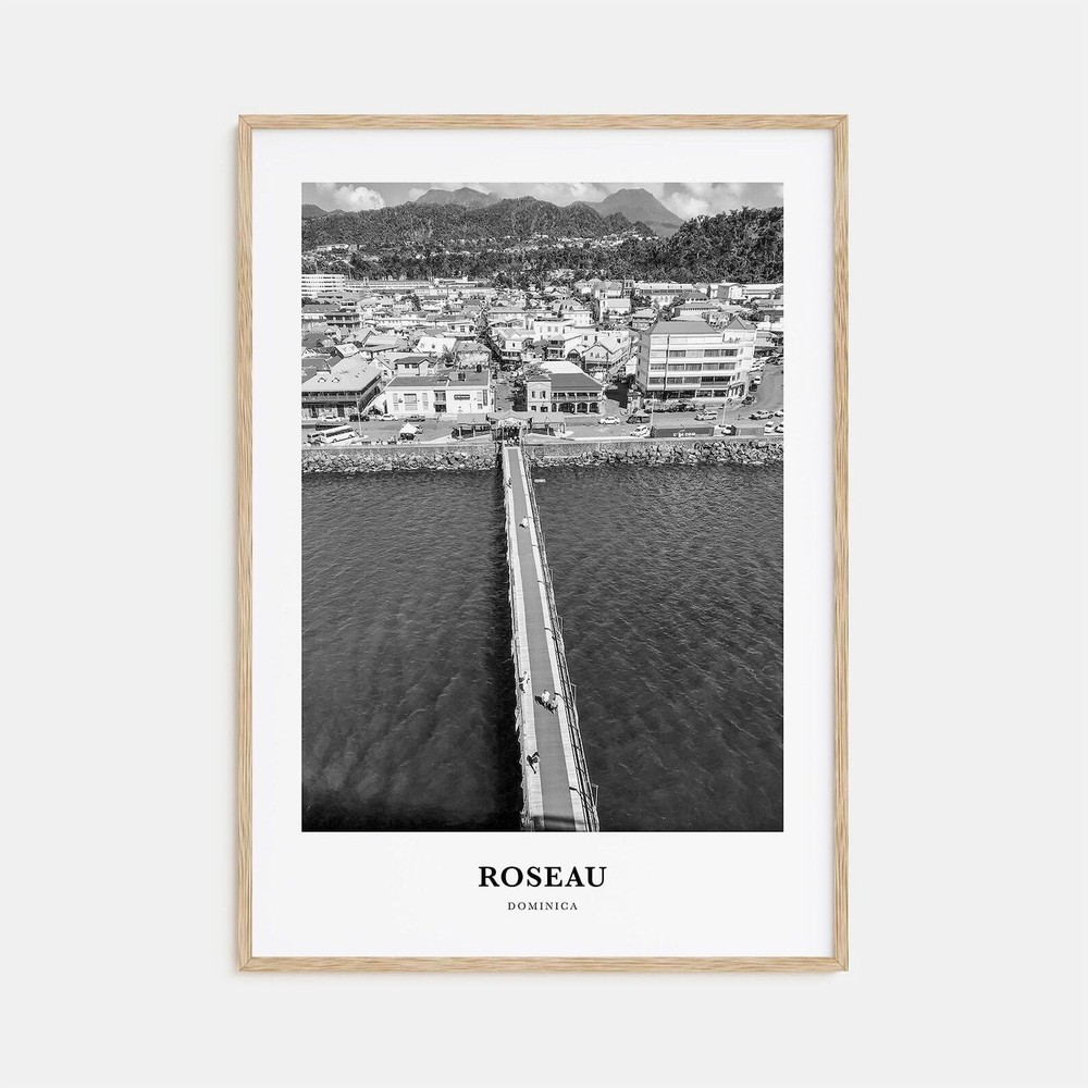 Roseau Wall Art Roseau Wall Decor Roseau Poster Roseau Home Decor Roseau Travel
