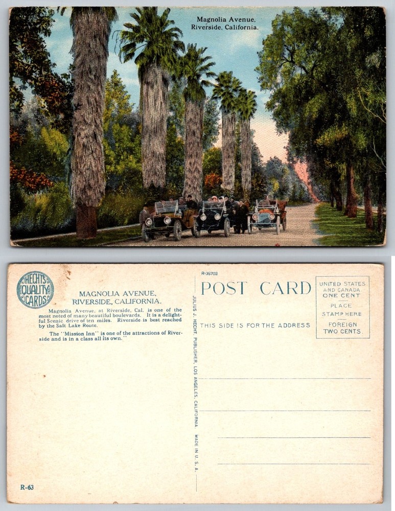 Magnolia Ave Riverside CA Postcard c1910 Palm Trees Vintage Cars Mission Inn