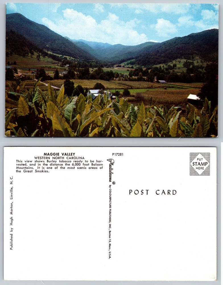 Maggie Valley Western North Carolina Mountains Postcard