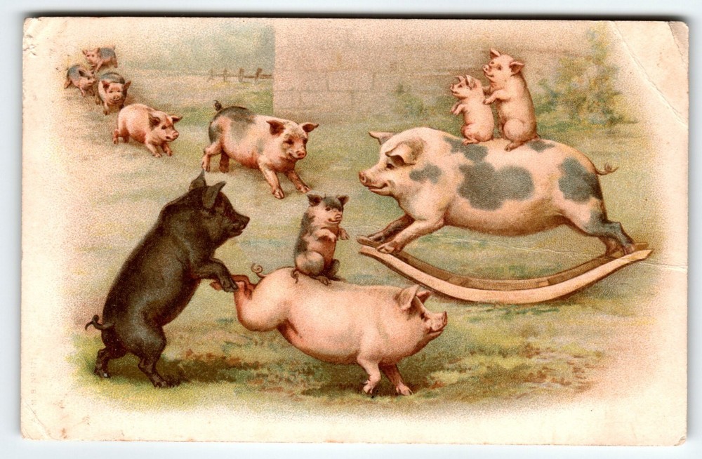 Pigs Fantasy Anthropomorphic Postcard Piglets Piggyback On Rocking Chair A&MB