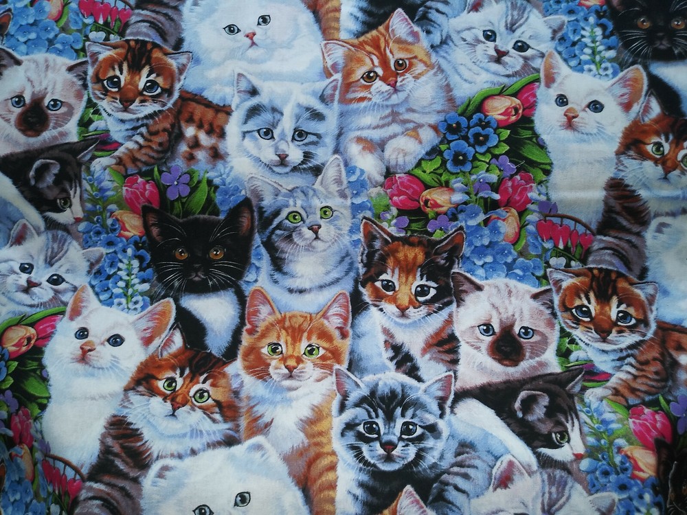 David Textiles Kittens and Flowers Cotton Fabric by the Half Yard - Cute Cat Print Material