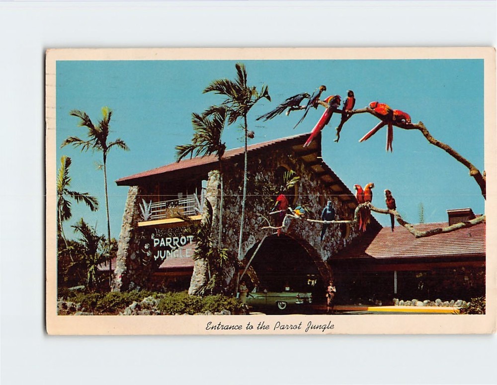 Postcard Entrance to the Parrot Jungle Miami Florida USA