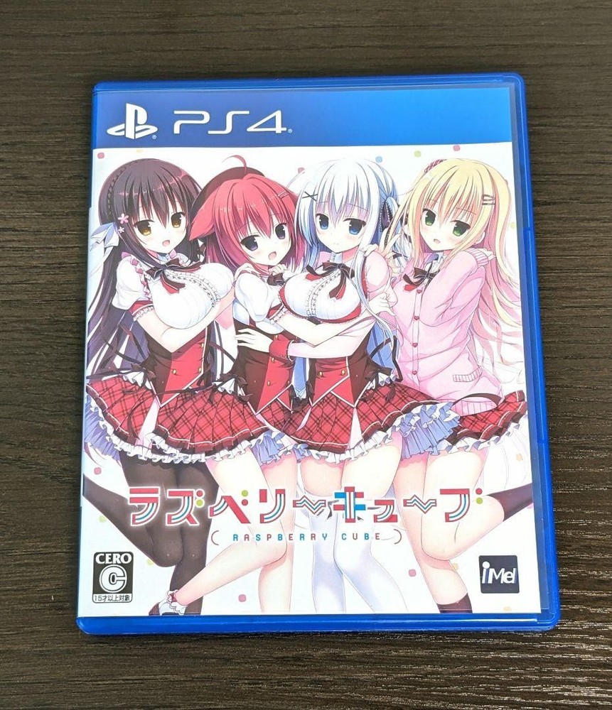 PS4 Raspberry Cube Sony PlayStation 4 Video Edition Game Standard 0