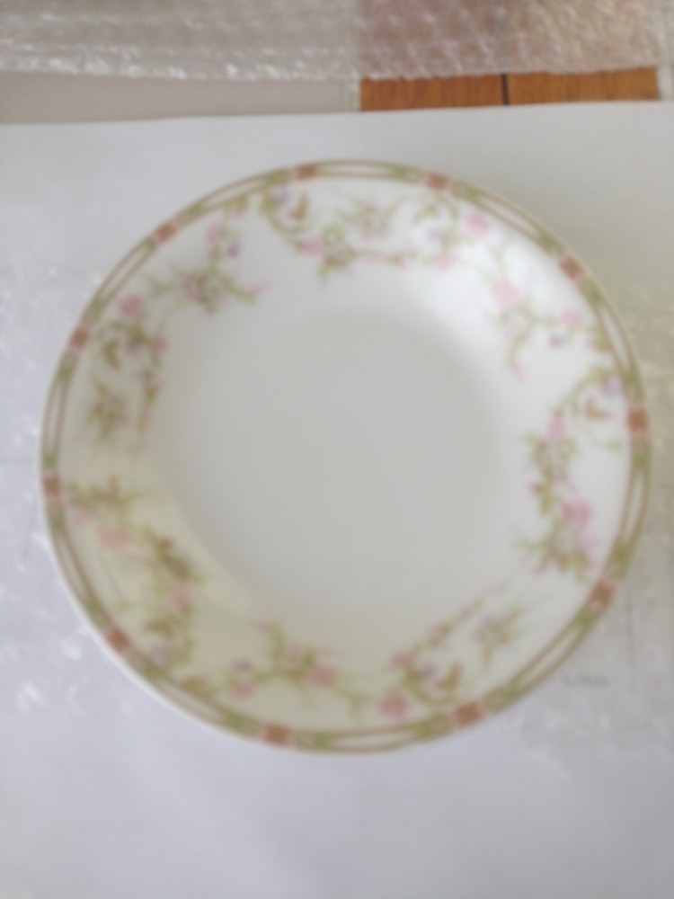 Lot sale of 9 Theodore Haviland, Limoges , France Butter Pat  19th century.
