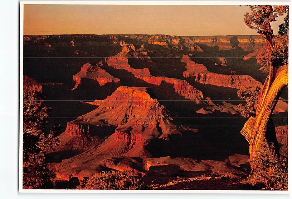 Postcard Grand Canyon National Park Arizona USA