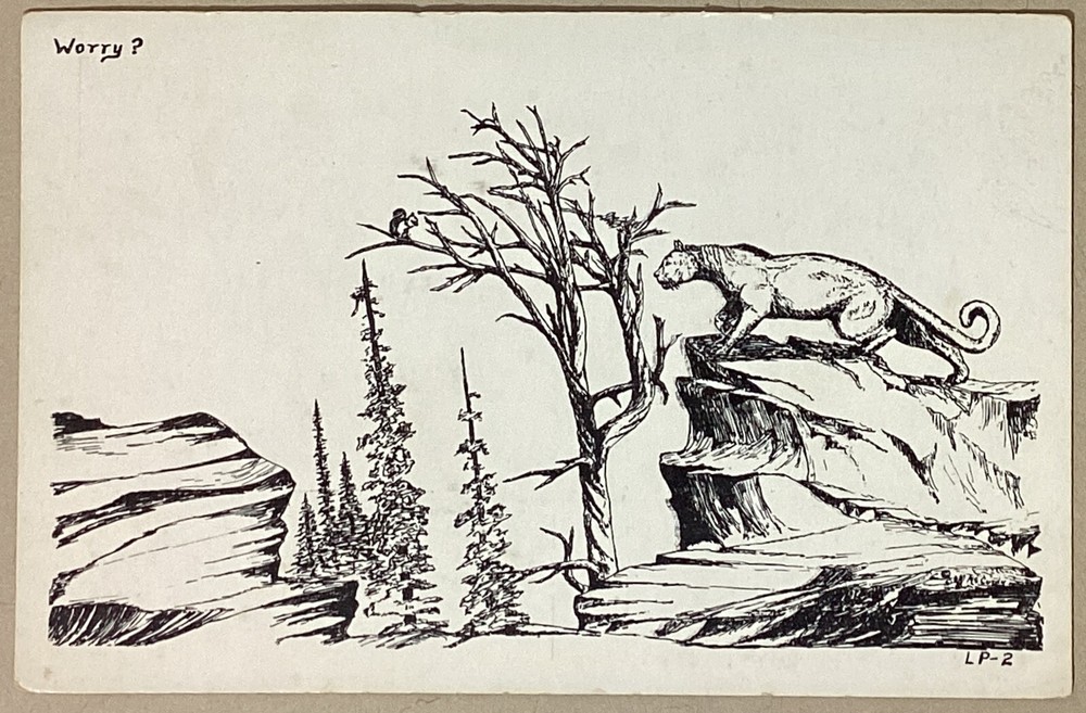 Mountain Lion by Cliff McCurdy Vintage Standard Art Postcard Unposted