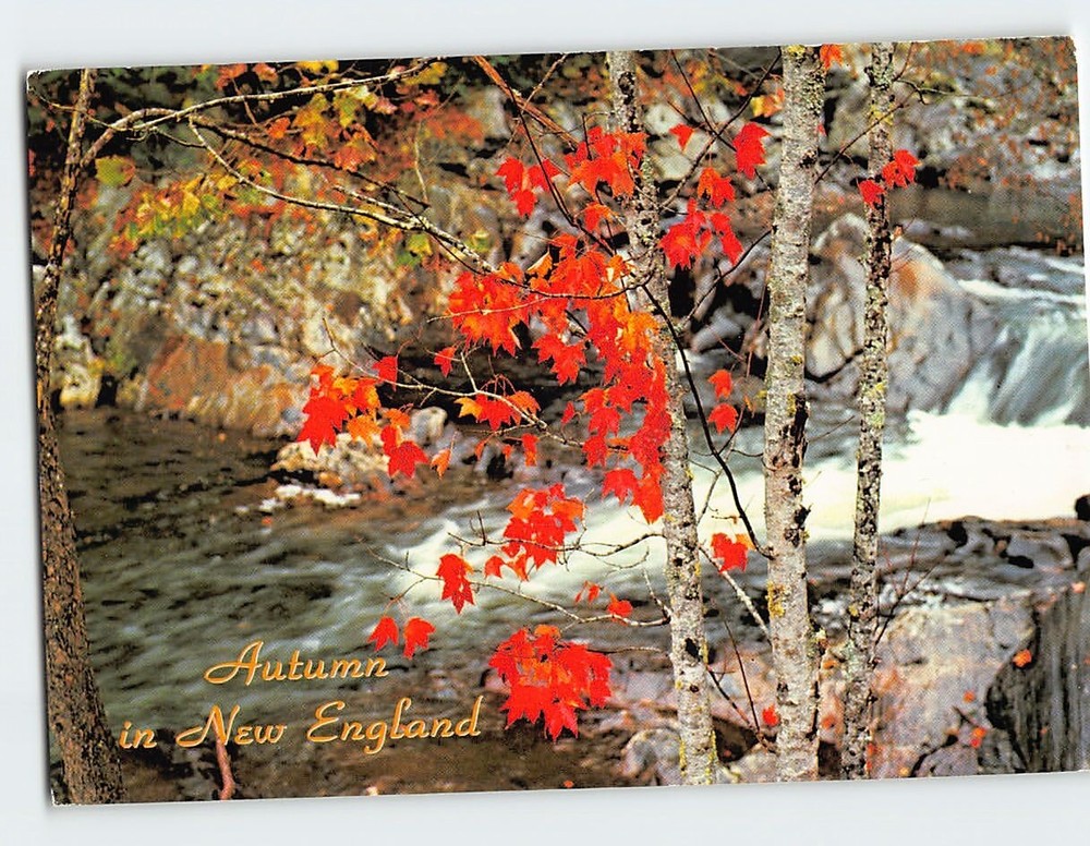 Postcard Autumn Nature Scene