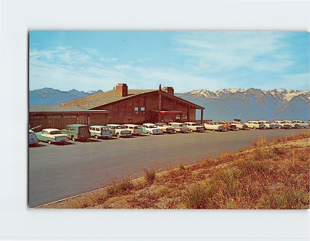 Postcard Mile-high Hurricane Ridge Olympic National Park Washington USA