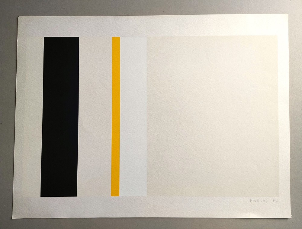Andreas BRANDT Signed silkscreen, 1988 / Original print by Brandt