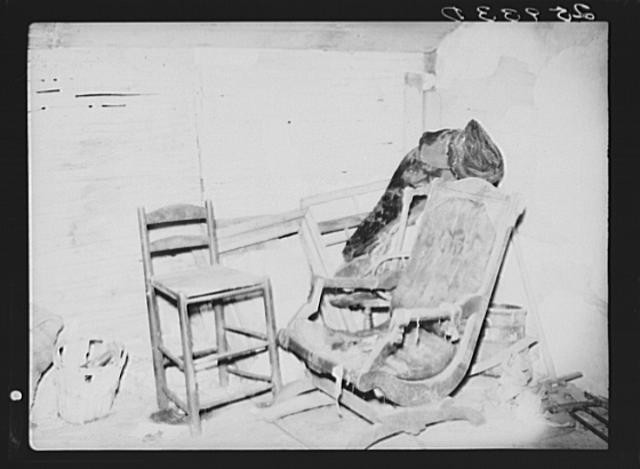 Photo:Corner of room in abandoned house. Albany County, New York