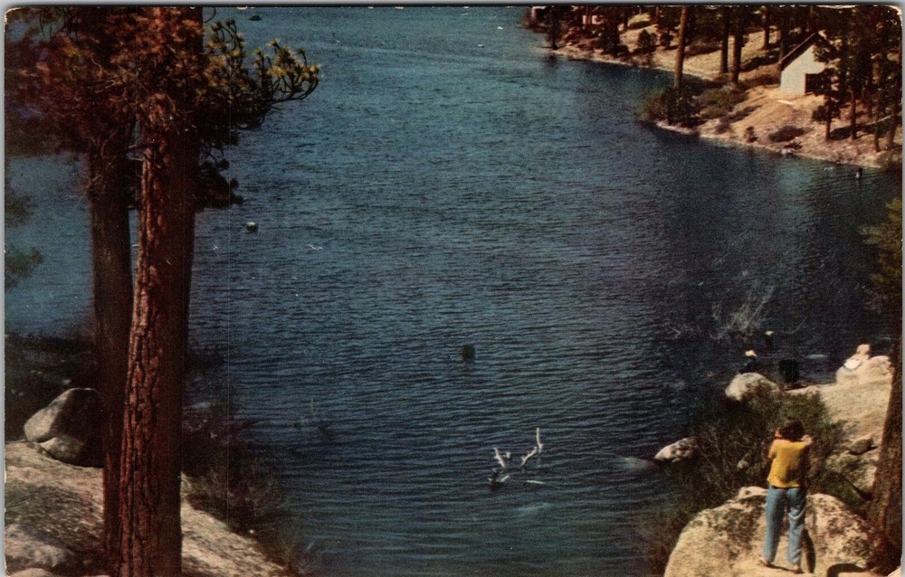 San Bernardino CA-California, Big Bear Lake, Scenic, Vintage Postcard