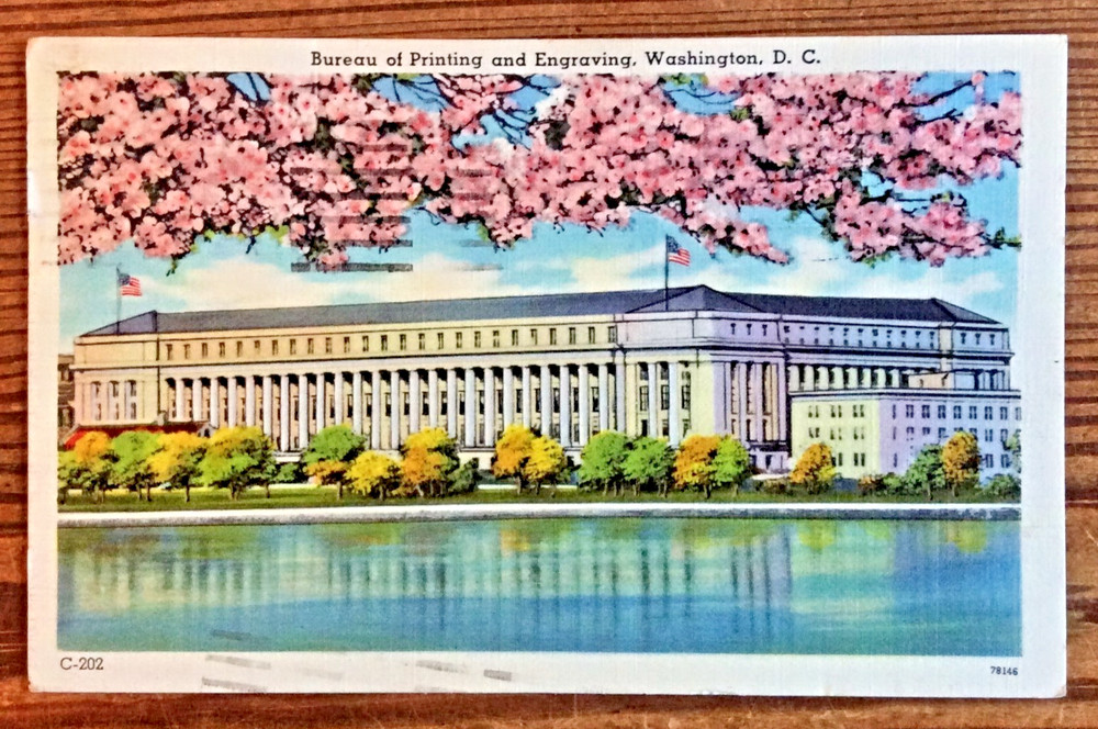 1951 Washington DC Bureau of Printing & Engraving Cherry Blossoms Postcard