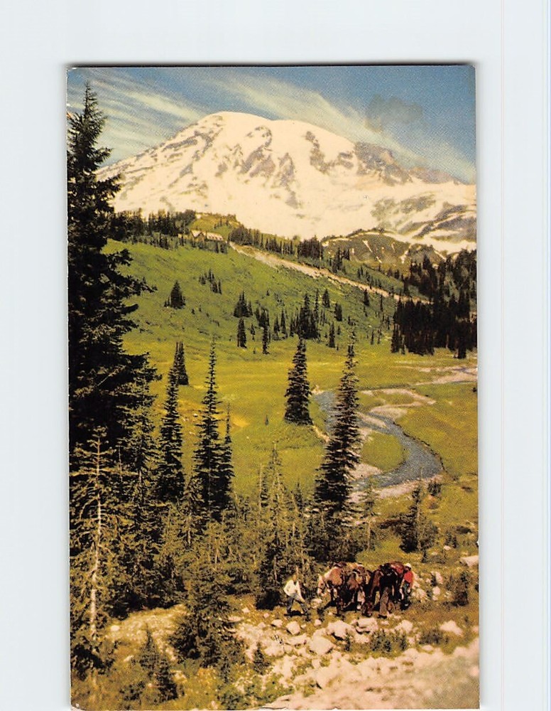 Postcard Paradise Valley Mt. Rainier National Park Washington
