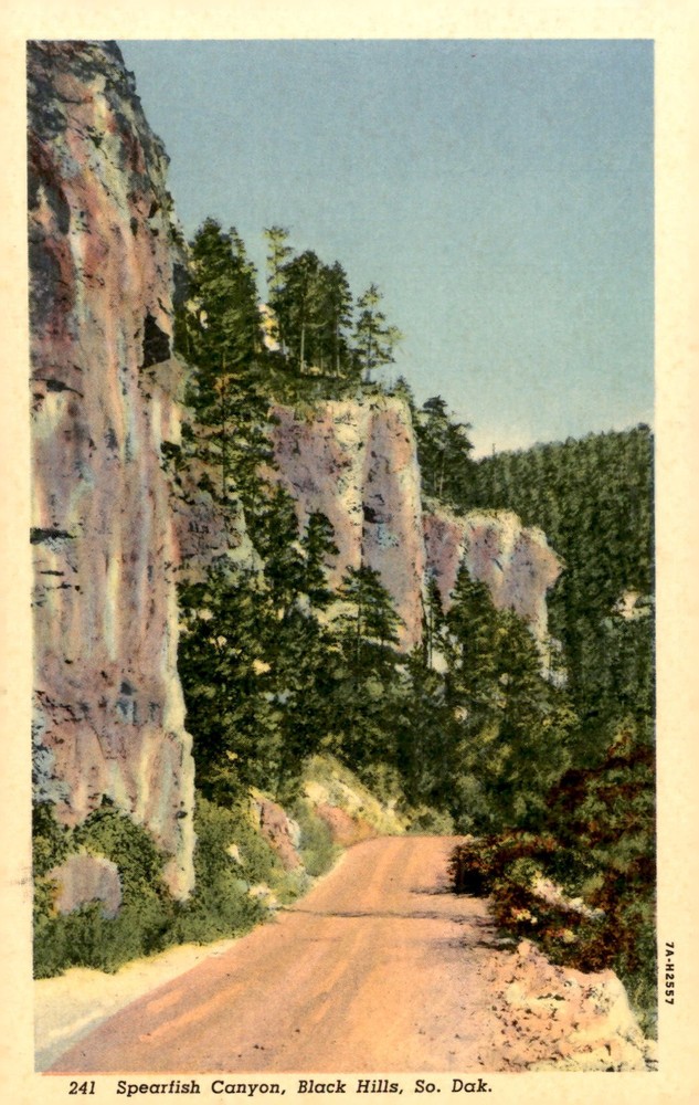Spearfish Canyon, Black Hills, South Dakota Postcard