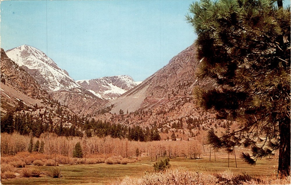 B-618, Lee Vining Canyon, Tioga Pass, Aurora, Lundy, Tioga Postcard