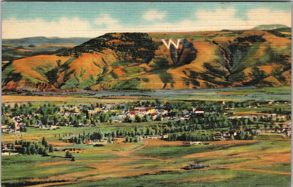 CO-Colorado, Gunnison Valley Mt Tenderfoot, Vintage Postcard