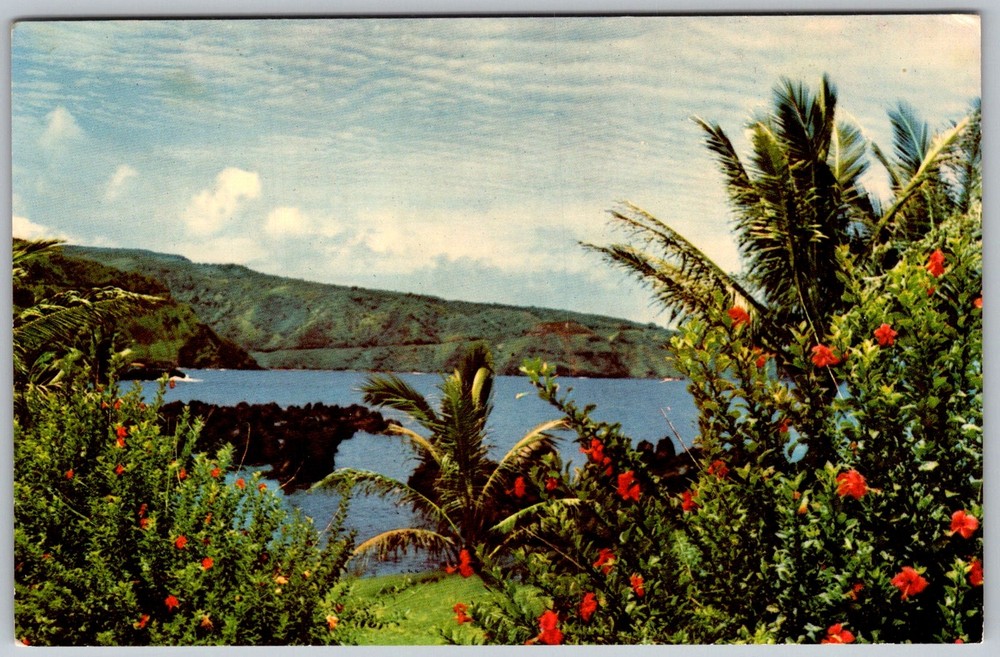 Vtg Postcard Scenic Drive Hibiscus Coastline Maui, HI 1950s