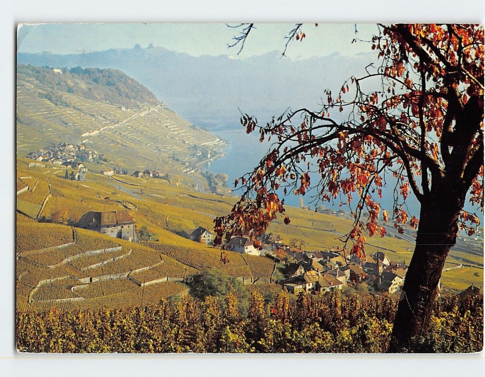 Postcard Panoramic View Lausanne Switzerland