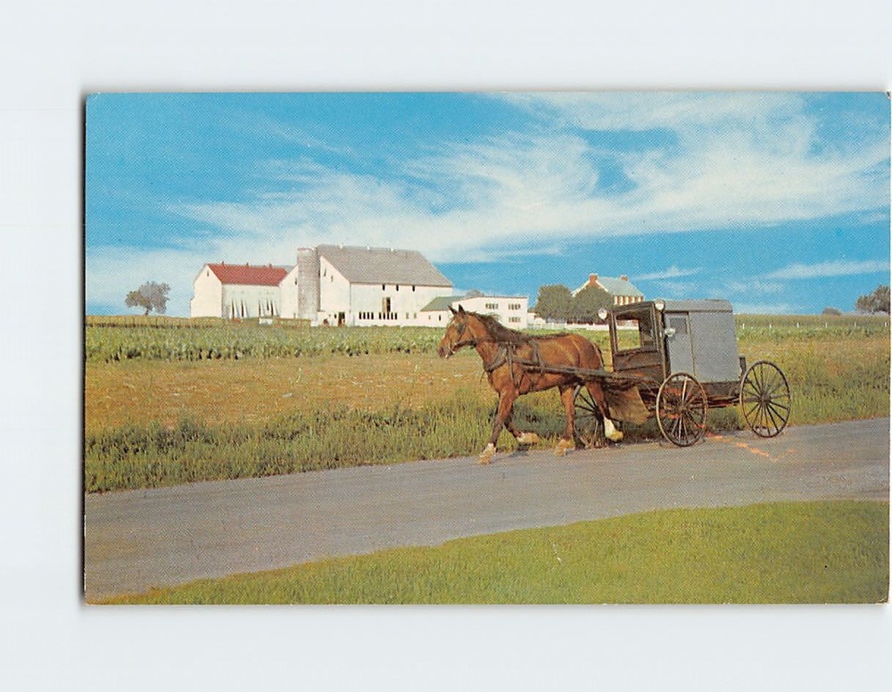 Postcard The Amish Family Carriage Lancaster Pennsylvania USA