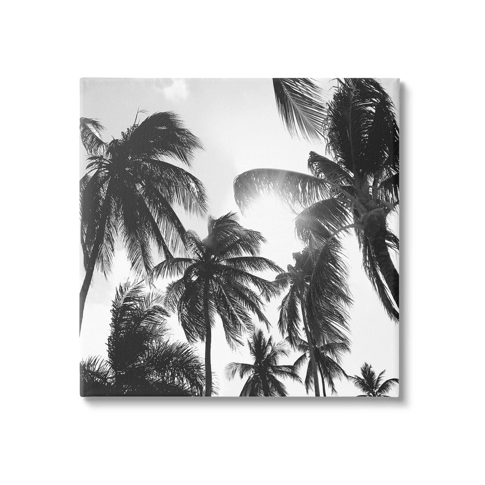 Sunlit Palm Tree Photography Canvas Wall Art, Design by Natalie Carpentieri