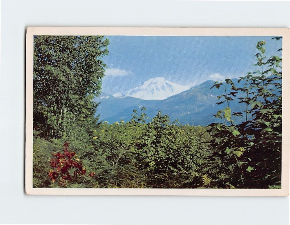 Postcard Mt. Baker Viewed from the Fraser Valley Canada