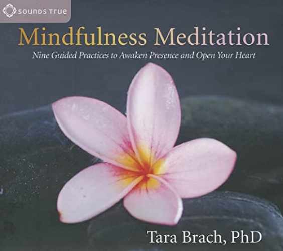 Mindfulness Meditation: Nine Guided - Audio CD, by Brach Tara - Very Good