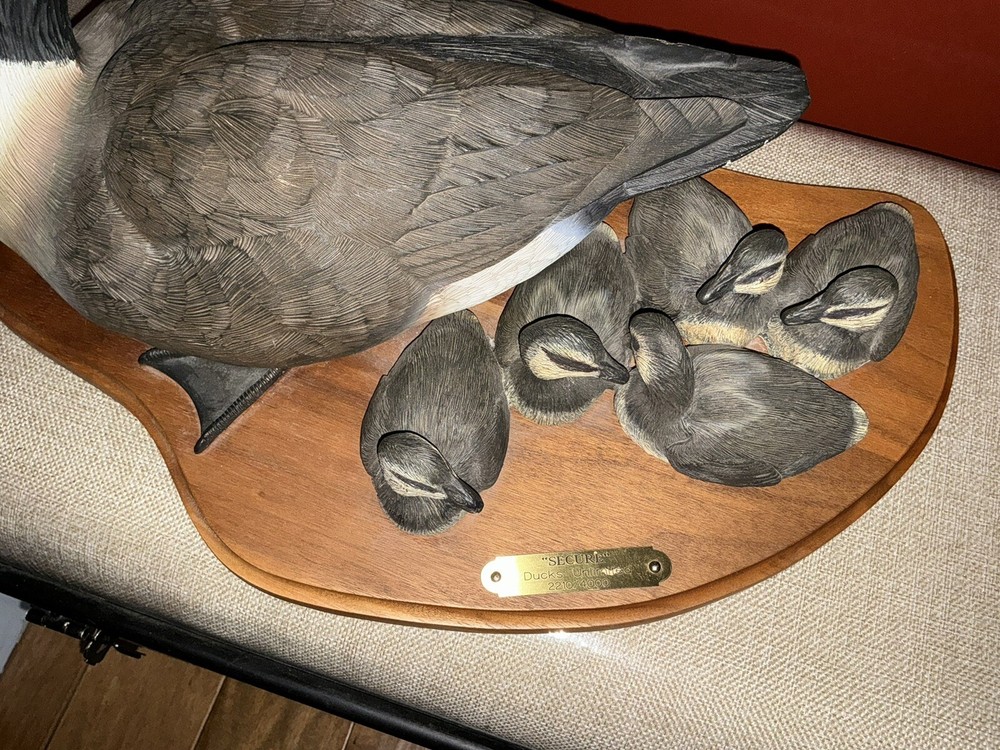 Ducks Unlimited 