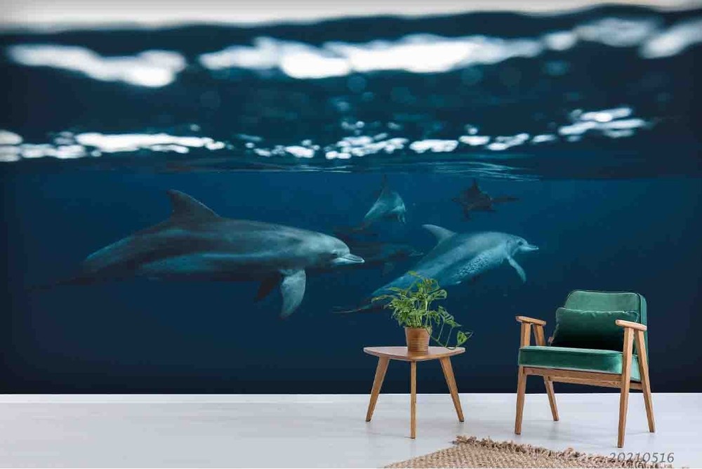 3D Ocean Dolphin Close-up Wall Murals Wallpaper Murals Wall Sticker 2