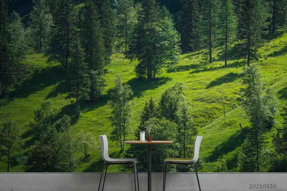 3D Pine Forest Summer Landscape Wall Murals Wallpaper Murals Wall Sticker