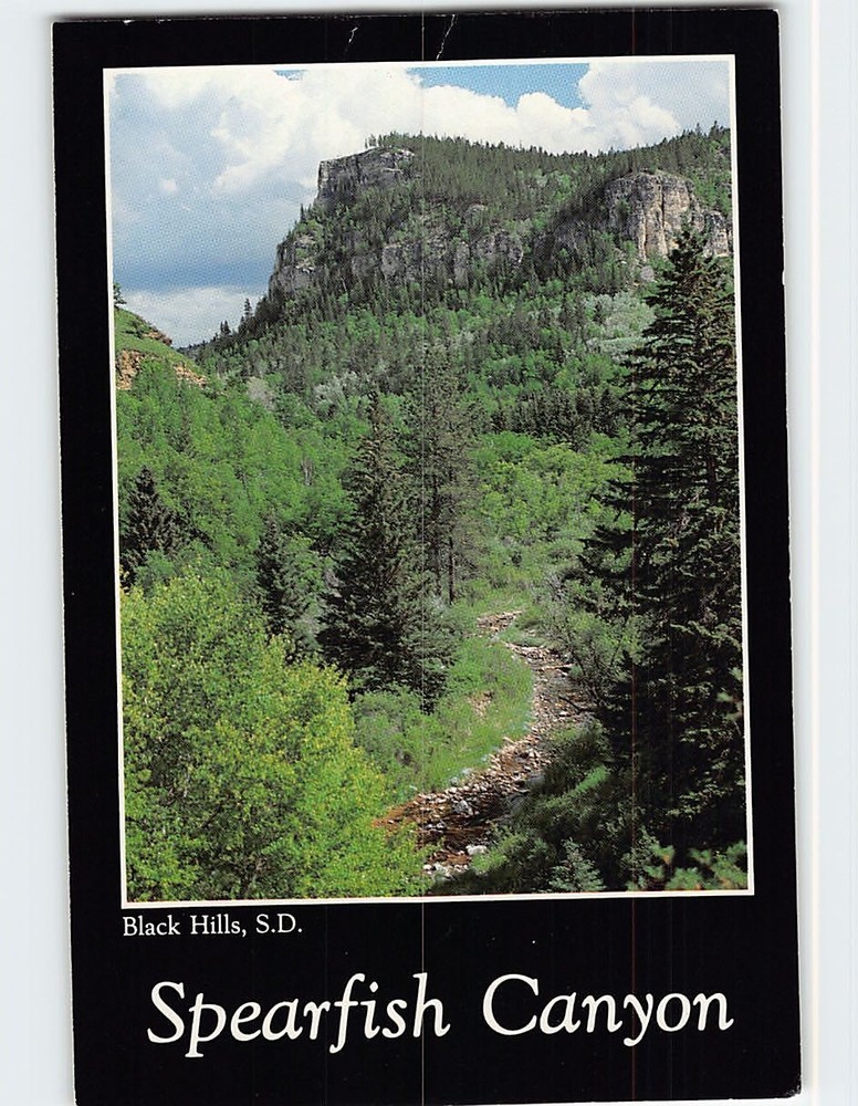 Postcard Spearfish Canyon Black Hills South Dakota USA