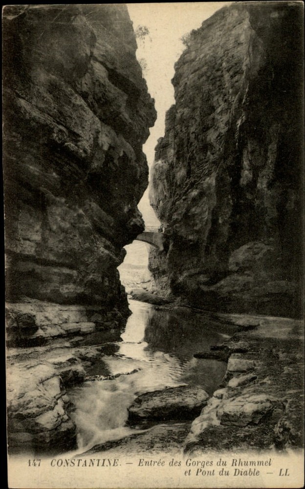 Gorges du Rhummel Constantine Algeria vintage postcard s827
