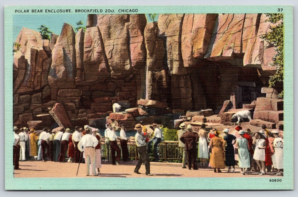Vintage Antique Postcard Chicago Illinois Brookfield Zoo People Polar Bears