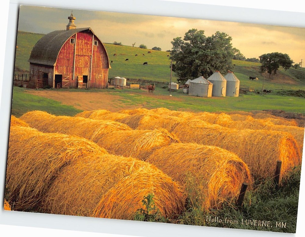 Postcard Tranquil Family Farm Hello from Luverne Minnesota USA