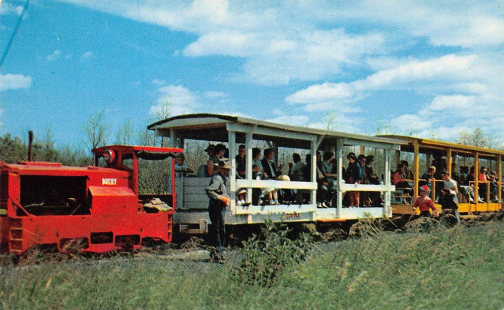 Tahquamenon Falls Riverboat Tours Newberry MI Michigan Trolley Vtg Postcard A33