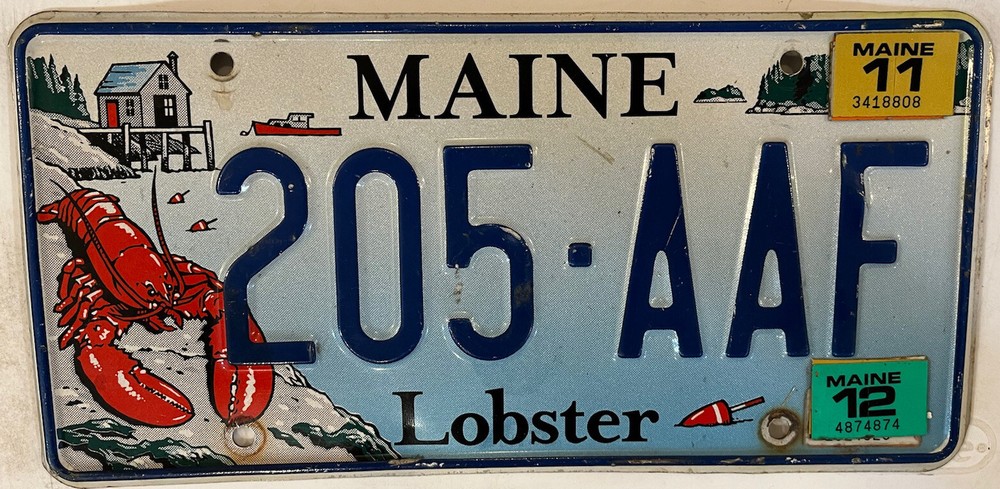 ACADIA NATIONAL PARK WILDLIFE license plate 205 AAFCadillac Mountain Bar Harbor-image