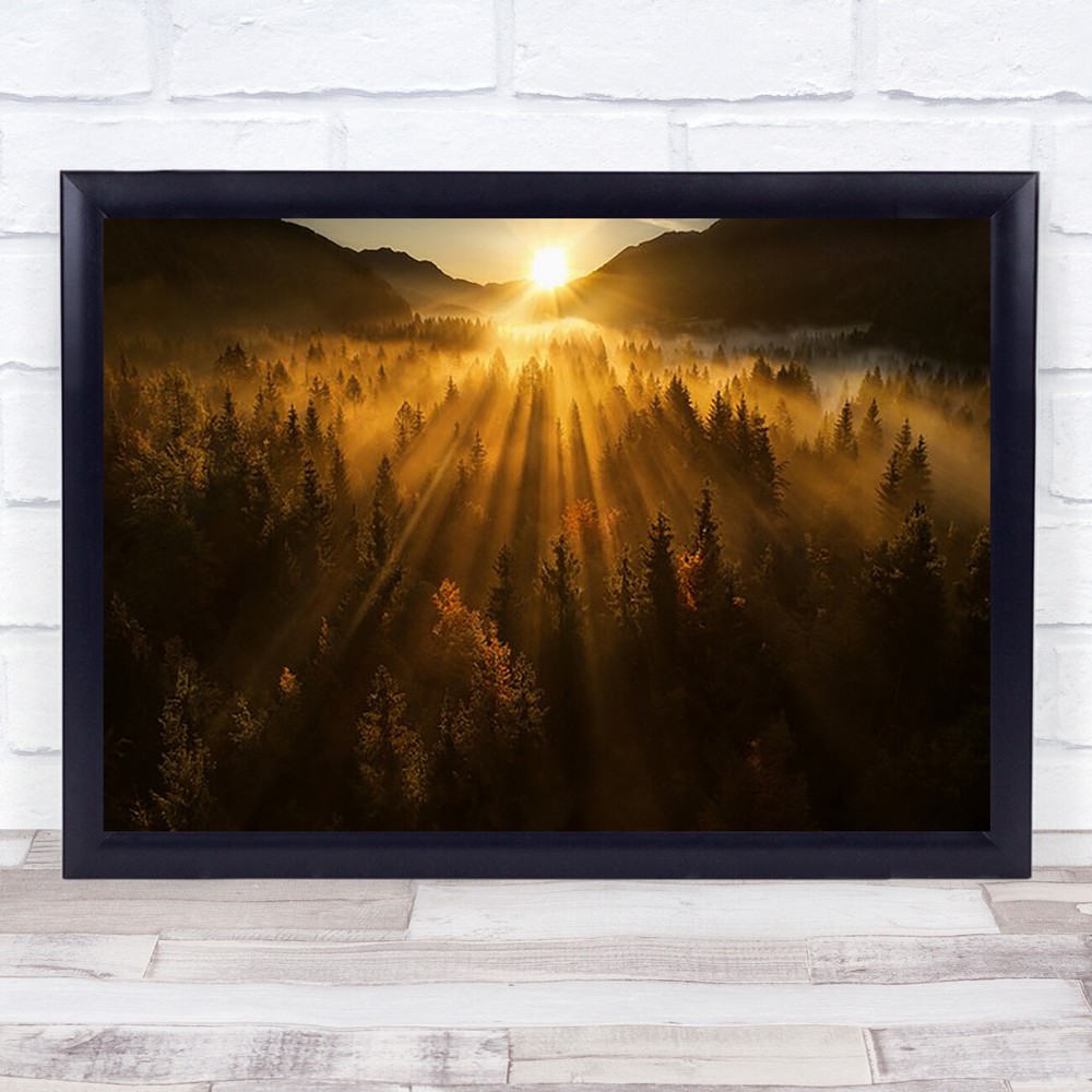 Autumn Forest Woods Gold Golden Orange Sun Sunlight Light Rays Wall Art Print