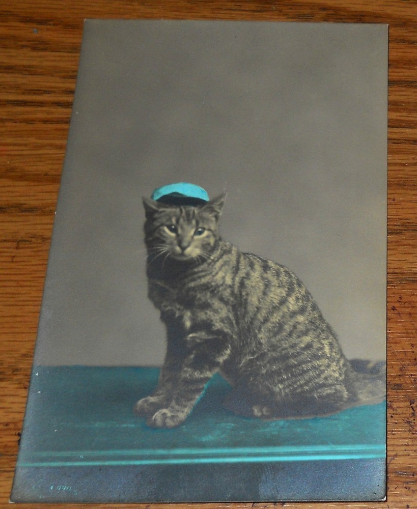 1920's Real Photo Color Tinted Postcard~Cat with a Hat RPPC T7