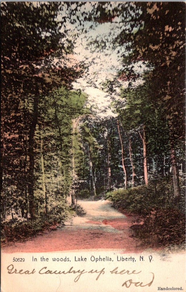 Vintage Postcard Forest Road Lake Ophelia Liberty Riverhead New York 1906  22509