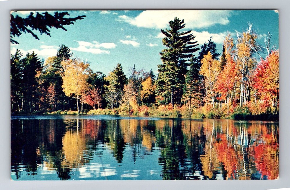 Nestor Falls-Ontario, Autumn Scene Landscape, Antique, Vintage Souvenir Postcard
