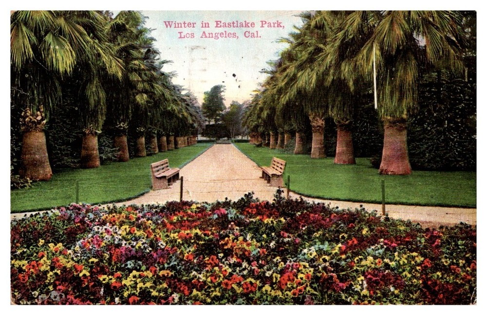 1912 Winter Garden Blooms Eastlake Park Los Angeles California Vintage Postcard