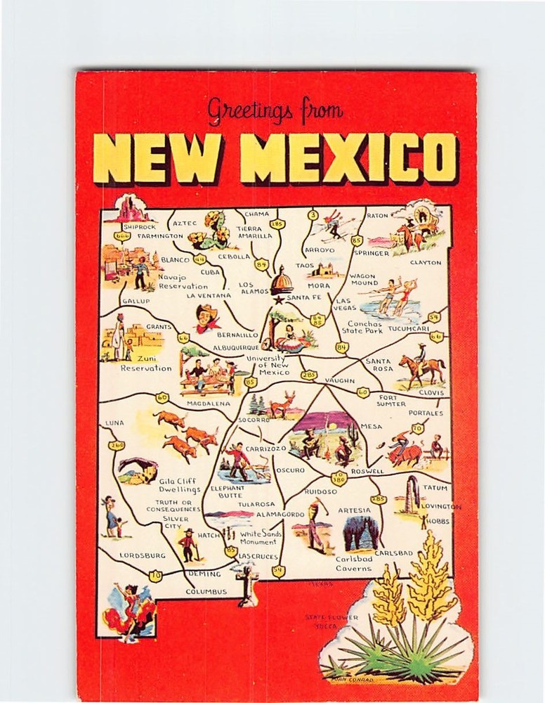 Postcard Greetings from New Mexico USA