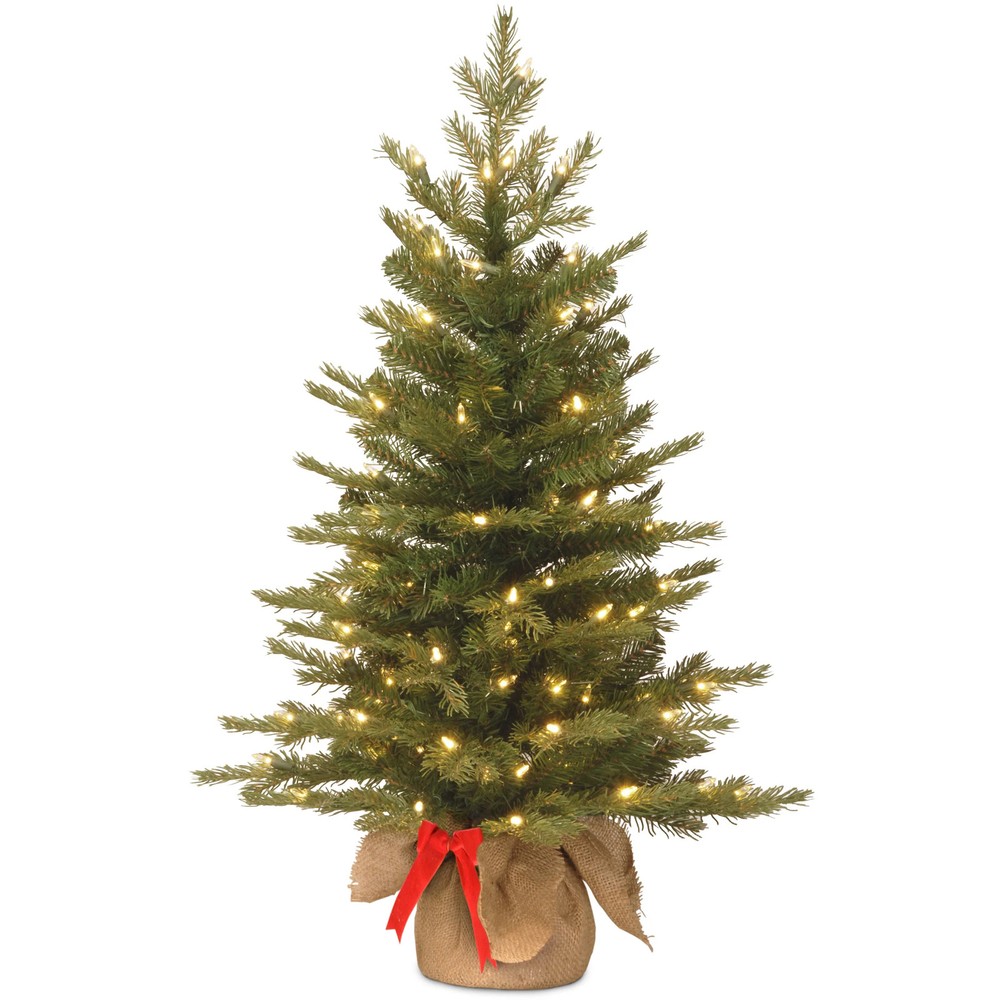 3 ft Battery-Operated LED Green Spruce by National Tree Company  