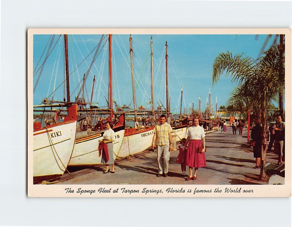 Postcard The Sponge Fleet At Dock Tarpon Springs Florida