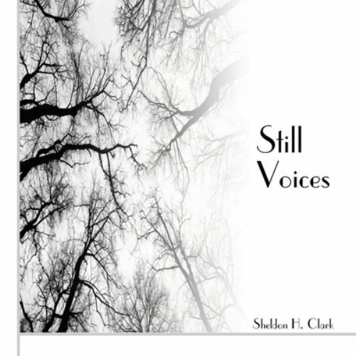 Still Voices, Like New Used, Free shipping in the US