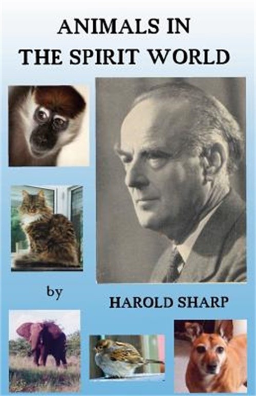 Animals in the Spirit World (Paperback or Softback)