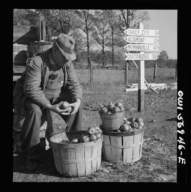 Photo:Tennessee 1941 TVA Knoxville Man Sorting Apples Road Sign Tracy City
