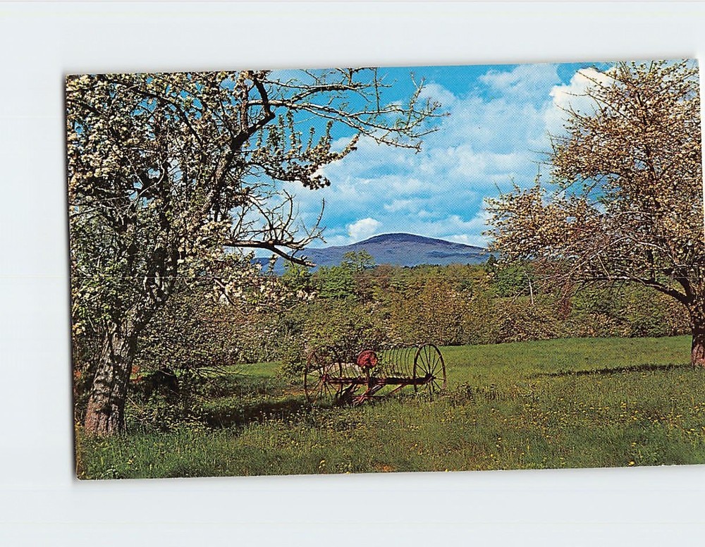 Postcard Scenic Landscape Nature Scene