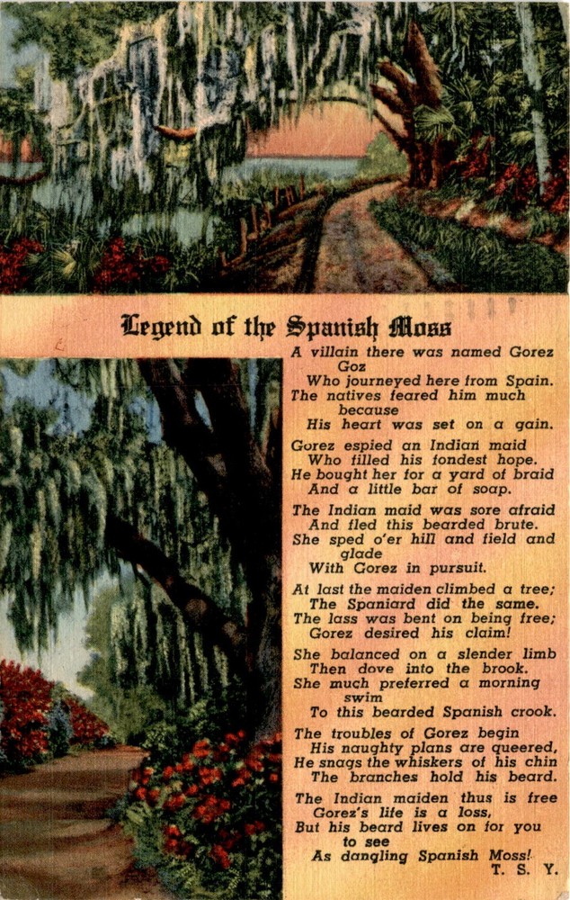 Legend of the Spanish Moss, Gorez, Spain, Indian maid, Daytona, 1958, Postcard